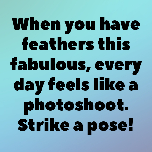 178+ Cockatoo Captions For Instagram In 2025 7 Cockatoo Captions Image For Instagram In 2025-YWoxT2