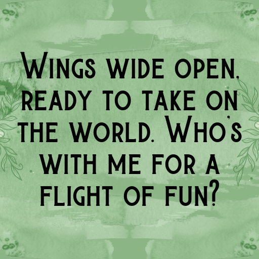 178+ Cockatoo Captions For Instagram In 2025 8 Cockatoo Captions Photo For Instagram In 2025-KGYBKT