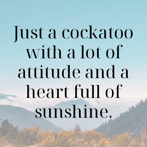 178+ Cockatoo Captions For Instagram In 2025 9 Cockatoo Captions Photo For Instagram In 2025-VvQm5n