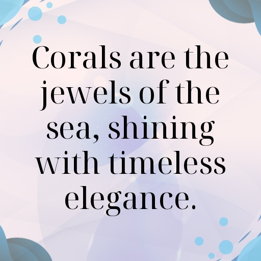 165+ Coral Captions For Instagram In 2025 11 Coral Captions Photo For Instagram In 2025-Heeg8i