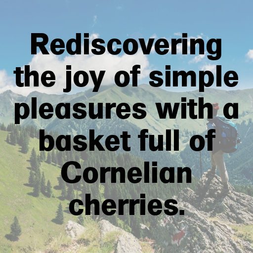 Cornelian Cherry Captions Image For Instagram In 2025-v3QY6l