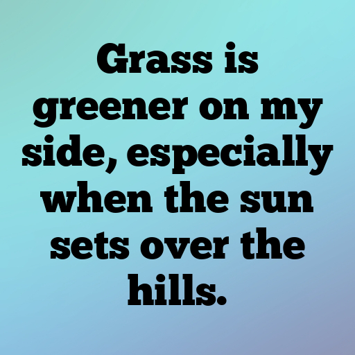 Cow Captions Image For Instagram In [2025]-Bzaca7