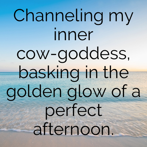 Cow Captions Photo For Instagram In [2025]-yRLzSW