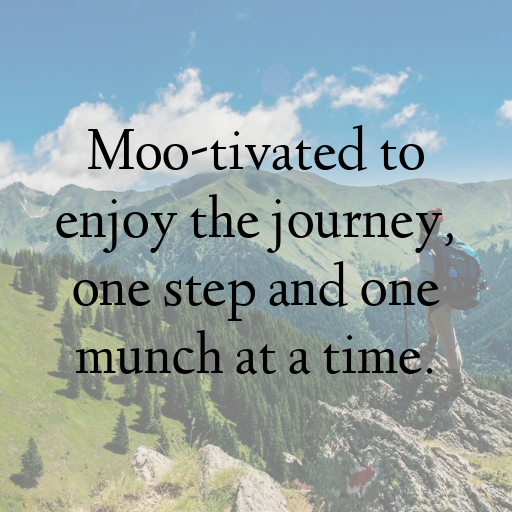 Cow Captions Photo For Instagram In [2025]-Zrgntr