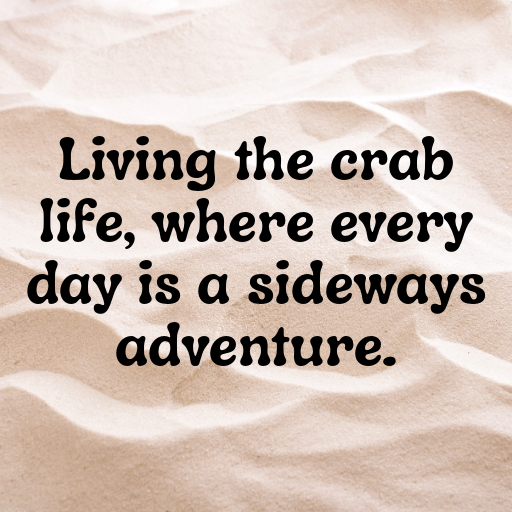 Crab Captions Image For Instagram In [2025]-ZmYwFg