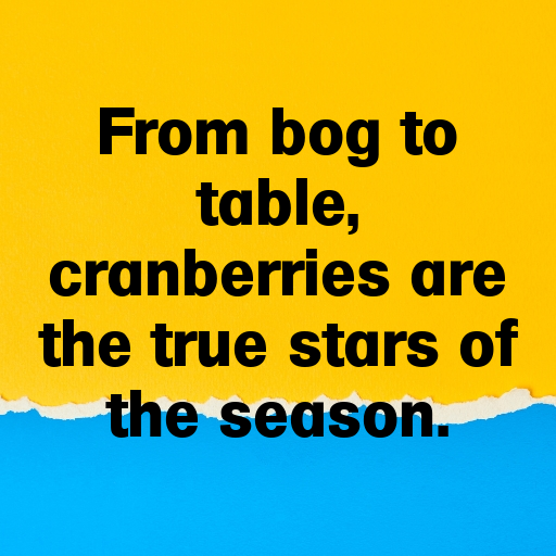 153+ Cranberry Captions For Instagram In 2025 9 Cranberry Captions Image For Instagram In 2025-30EKJa