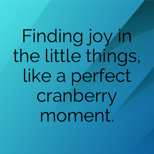 153+ Cranberry Captions For Instagram In 2025 7 Cranberry Captions Photo For Instagram In 2025-JBsV6D