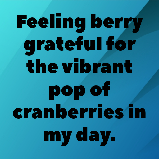 153+ Cranberry Captions For Instagram In 2025 5 Cranberry Captions Photo For Instagram In 2025-MILIuH