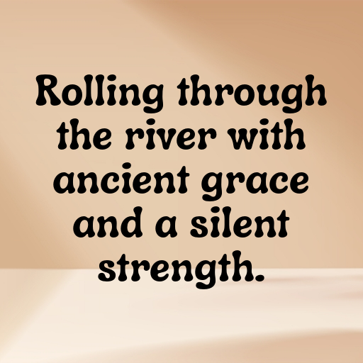 189+ Crocodile Captions For Instagram In 2025 3 Crocodile Captions Image For Instagram In 2025-9M0Wba