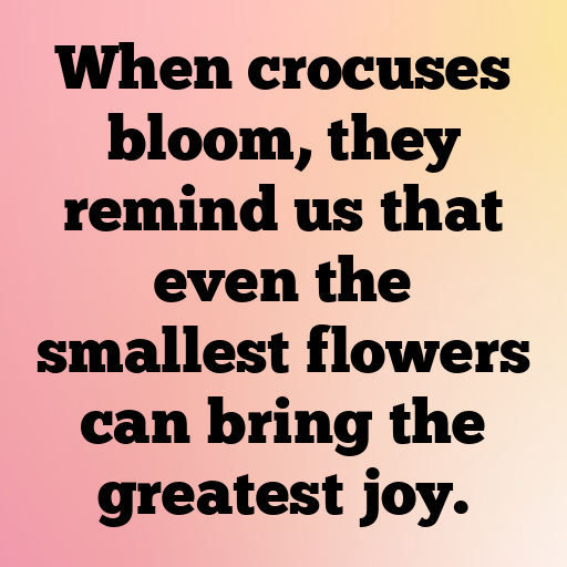 Crocus Captions Image For Instagram In [2025]-ZF8D30