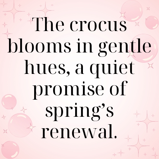 Crocus Captions Photo For Instagram In [2025]-mbhtJK