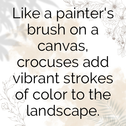 Crocus Captions Photo For Instagram In [2025]-Z3eJTy