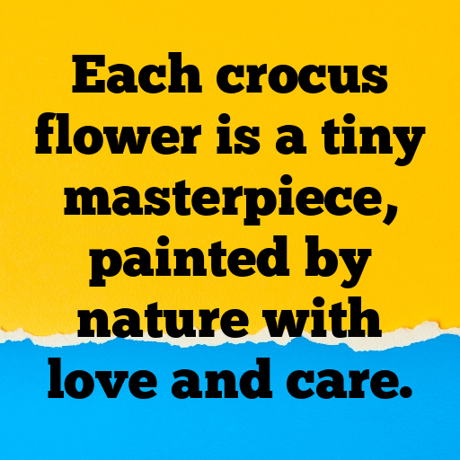Crocus Captions Photo For Instagram In [2025]-ZuXQMd