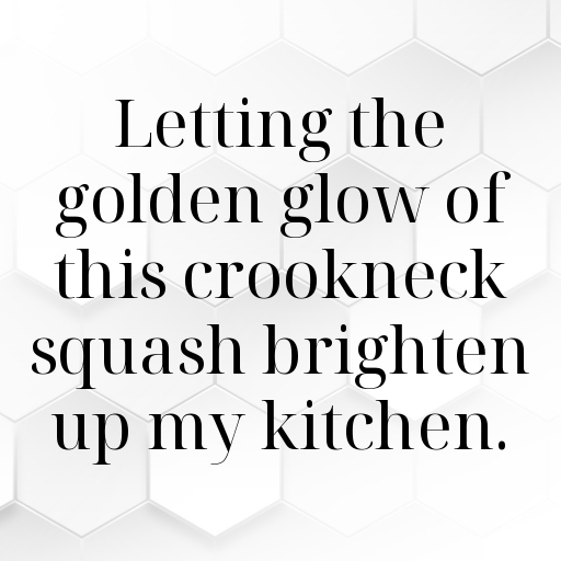 Crookneck Squash Captions Photo For Instagram In 2025-CtIkJk