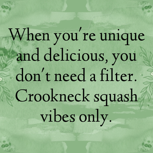 Crookneck Squash Captions Photo For Instagram In 2025-mMmr9Y