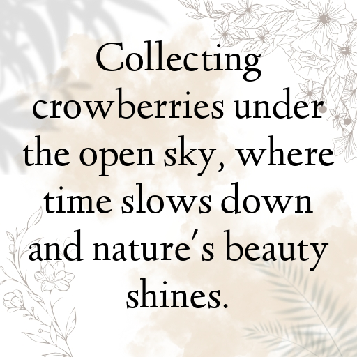 195+ Crowberry Captions For Instagram In 2025 3 Crowberry Captions Photo For Instagram In 2025-6feopa