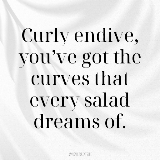 Curly Endive Captions Image For Instagram In (2025)-O3KQ3u