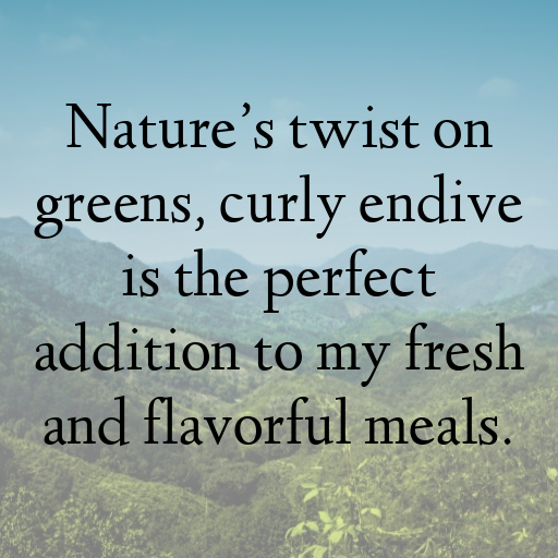 Curly Endive Captions Photo For Instagram In (2025)-OLnKG9