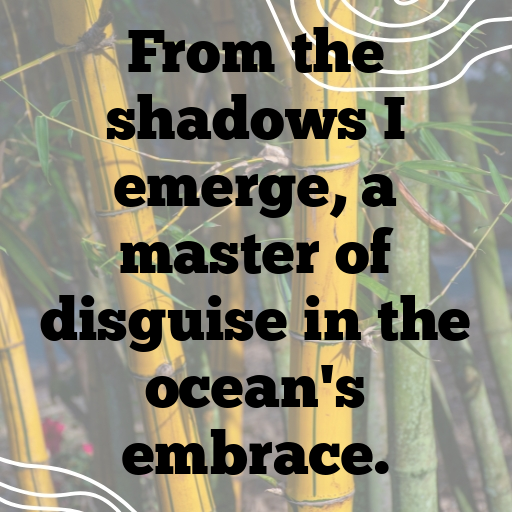 Cuttlefish Captions Photo For Instagram In [2025]-Ulrlf2