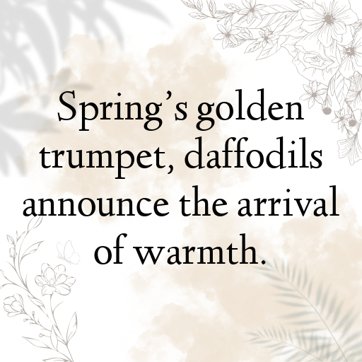 Daffodil Captions Photo For Instagram In 2025-7h5TsS