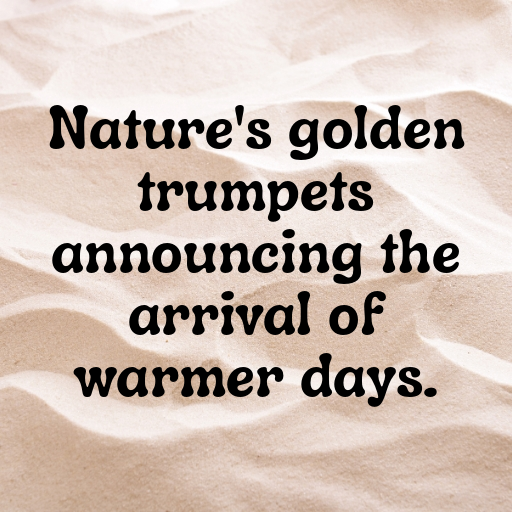 Daffodil Captions Photo For Instagram In 2025-DetByo