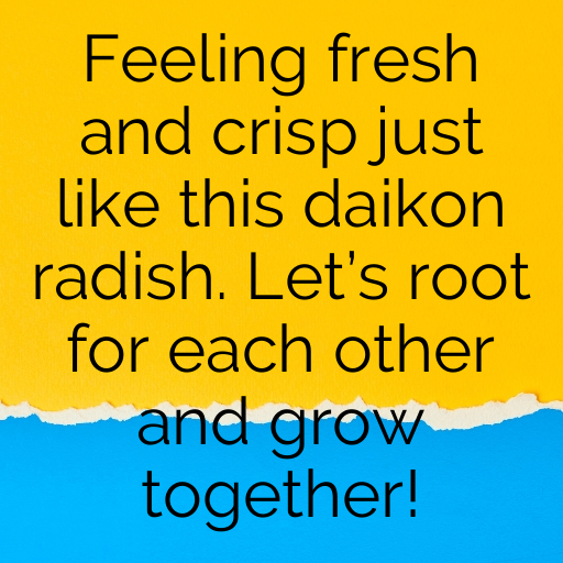 191+ Daikon Radish Captions For Instagram In (2025) 8 Daikon Radish Captions Image For Instagram In (2025)-CuJtdt