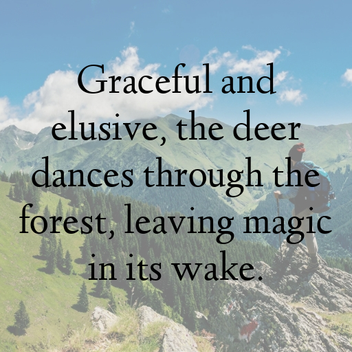 176+ Deer Captions For Instagram In (2025) 7 Deer Captions Image For Instagram In (2025)-U9t77U