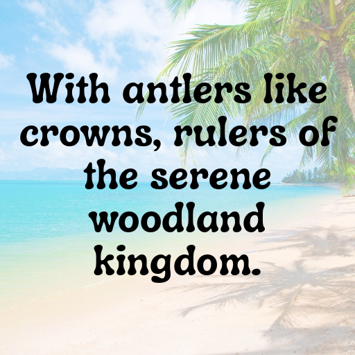 176+ Deer Captions For Instagram In (2025) 6 Deer Captions Photo For Instagram In (2025)-6rM5zD