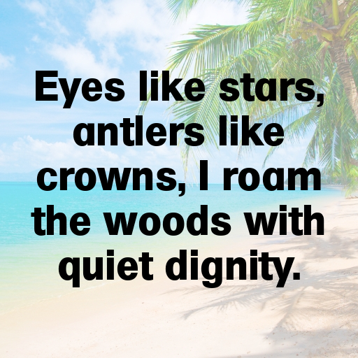 176+ Deer Captions For Instagram In (2025) 3 Deer Captions Photo For Instagram In (2025)-ykf0EE