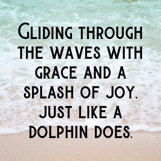 174+ Dolphin Captions For Instagram In 2025 9 Dolphin Captions Photo For Instagram In 2025-Pn1NLk