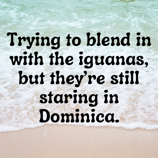 Dominica Captions Image For Instagram In (2025)-cwCqTi