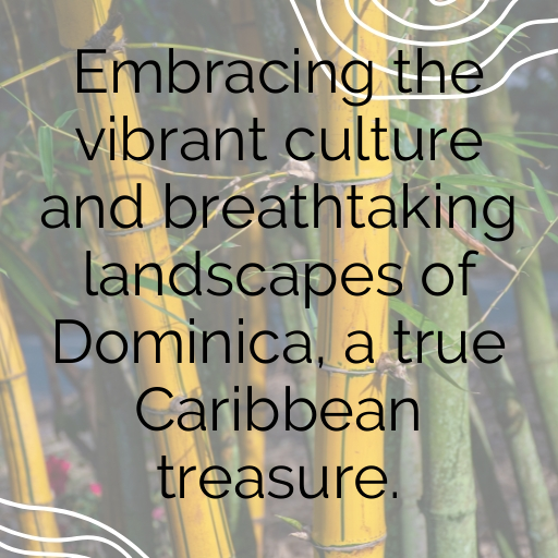 Dominica Captions Image For Instagram In (2025)-YGgKpJ