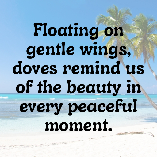 Dove Captions Photo For Instagram In [2025]-6VXmQG