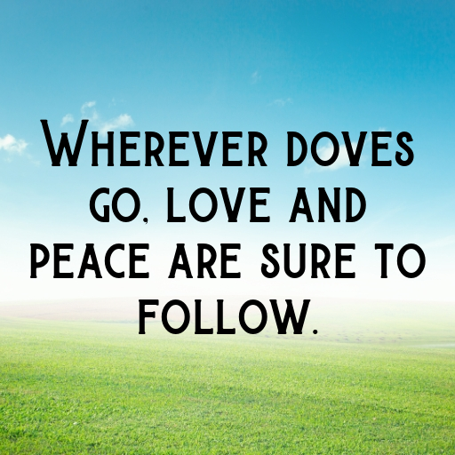 Dove Captions Photo For Instagram In [2025]-d2vWNT