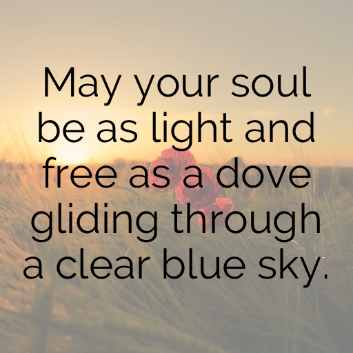 Dove Captions Photo For Instagram In [2025]-NhMBiu