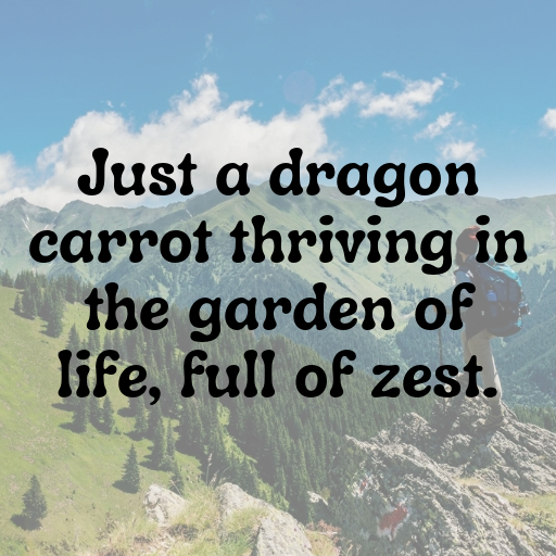 Dragon Carrot Captions Image For Instagram In (2025)-qvJfZd