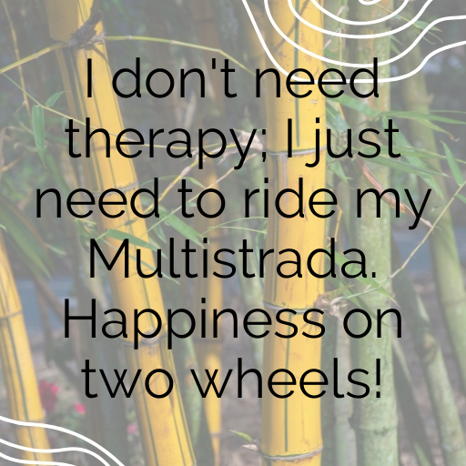 172+ Ducati Multistrada Captions for Instagram In 2025 4 Ducati Multistrada Captions Image for Instagram In 2025-33ujOQ