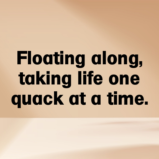 Duck Captions Image For Instagram In 2025-Pob7YZ