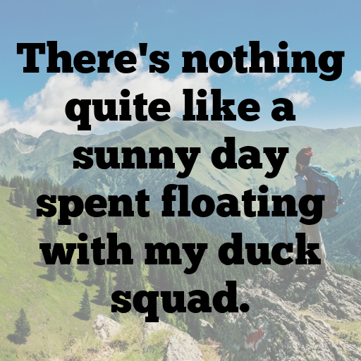 Duck Captions Photo For Instagram In 2025-ZvGtmG