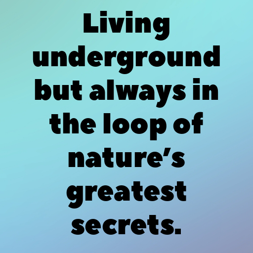 Earthworm Captions Image For Instagram In [2025]-0BAaYv