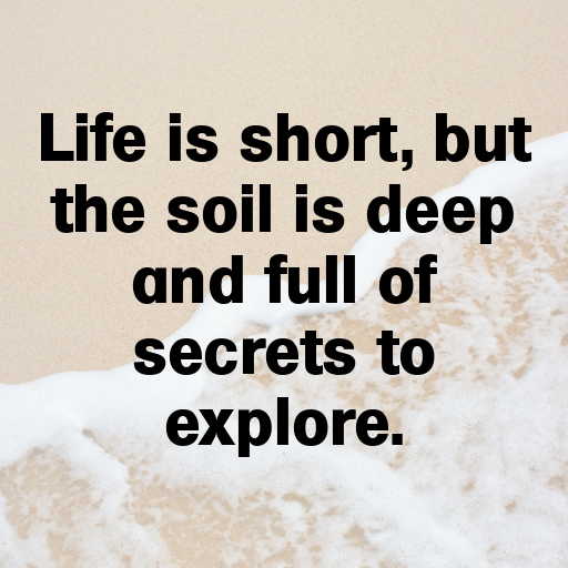 Earthworm Captions Image For Instagram In [2025]-PQAPDy