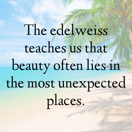 178+ Edelweiss Captions For Instagram In (2025) 3 Edelweiss Captions Image For Instagram In (2025)-gWyq2i