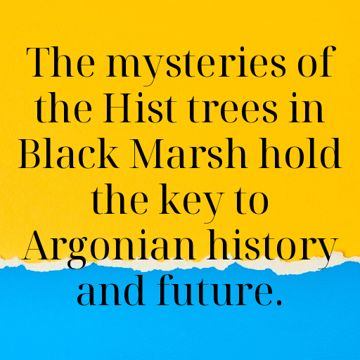 Elder Scrolls Captions Photo for Instagram In [2025]-C6refw