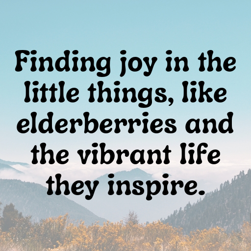 Elderberry Captions Image For Instagram In 2025-JNHlcu