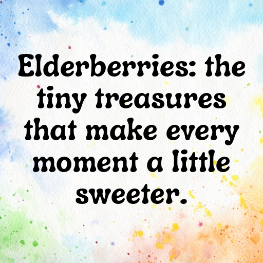 Elderberry Captions Photo For Instagram In 2025-B0YJkg