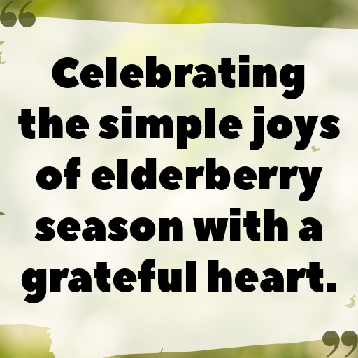 Elderberry Captions Photo For Instagram In 2025-uMe7aJ