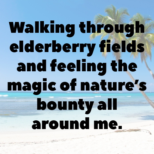 Elderberry Captions Photo For Instagram In 2025-XQLEwf