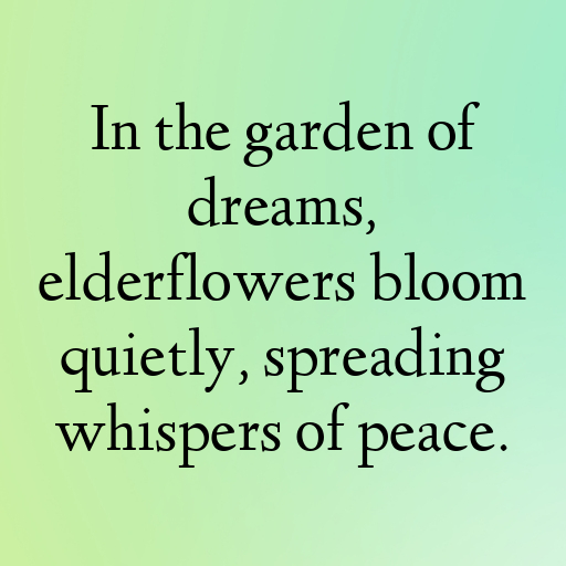 154+ Elderflower Captions For Instagram In 2025 8 Elderflower Captions Photo For Instagram In 2025-EaWunN