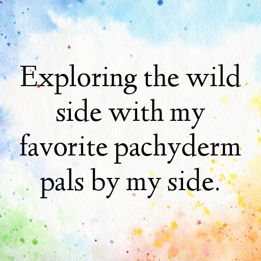 195+ Elephant Captions For Instagram In 2025 8 Elephant Captions Image For Instagram In 2025-Dbmk72