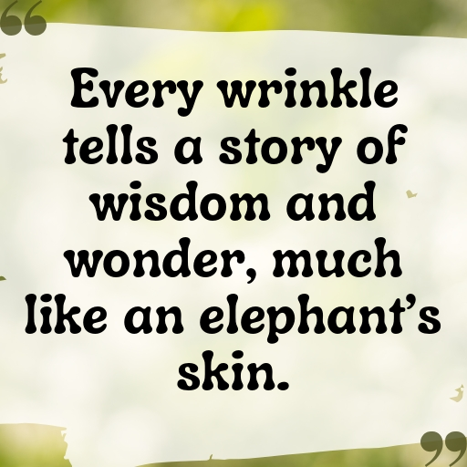 195+ Elephant Captions For Instagram In 2025 3 Elephant Captions Image For Instagram In 2025-TL3XCk